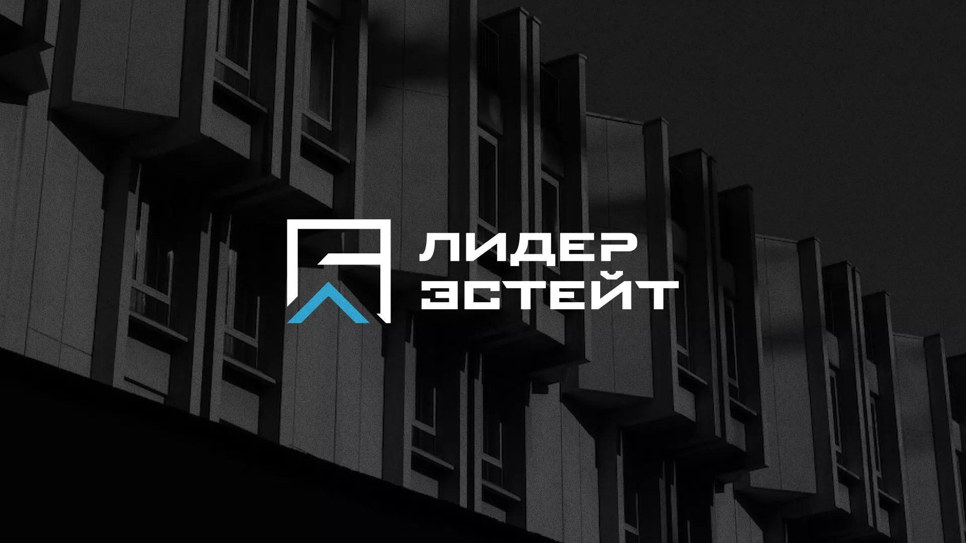 Разработка логотипа агентства недвижимости «Лидер Эстейт» в Волгограде